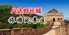 干骚逼视频网站中国北京-八达岭长城旅游风景区